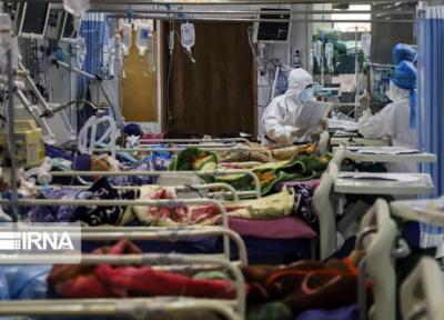 خبرنگاران 528 بیمار کرونایی در یزد بستری هستند
