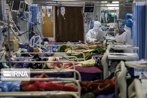 خبرنگاران 528 بیمار کرونایی در یزد بستری هستند