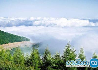 جنگل ابر، یادگاری از زیباترین و قدیمی ترین جنگلهای هیرکانی