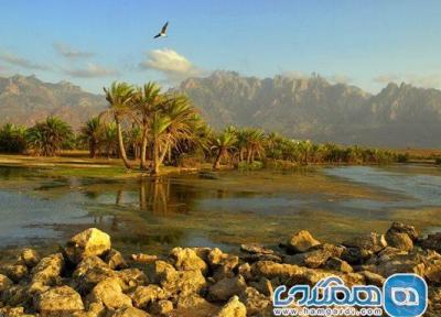جزایر سوکوترا ، منطقه ای با قدمتی بیش از 500 میلیون سال !