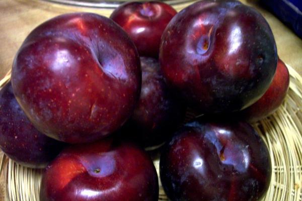 میوه خوشمزه ای که از شما در برابر فشار خون بالا محافظت می نماید